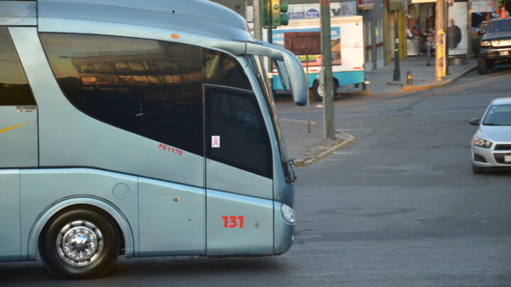 Ventas al mayoreo en agosto interrumpen recuperación: ANPACT