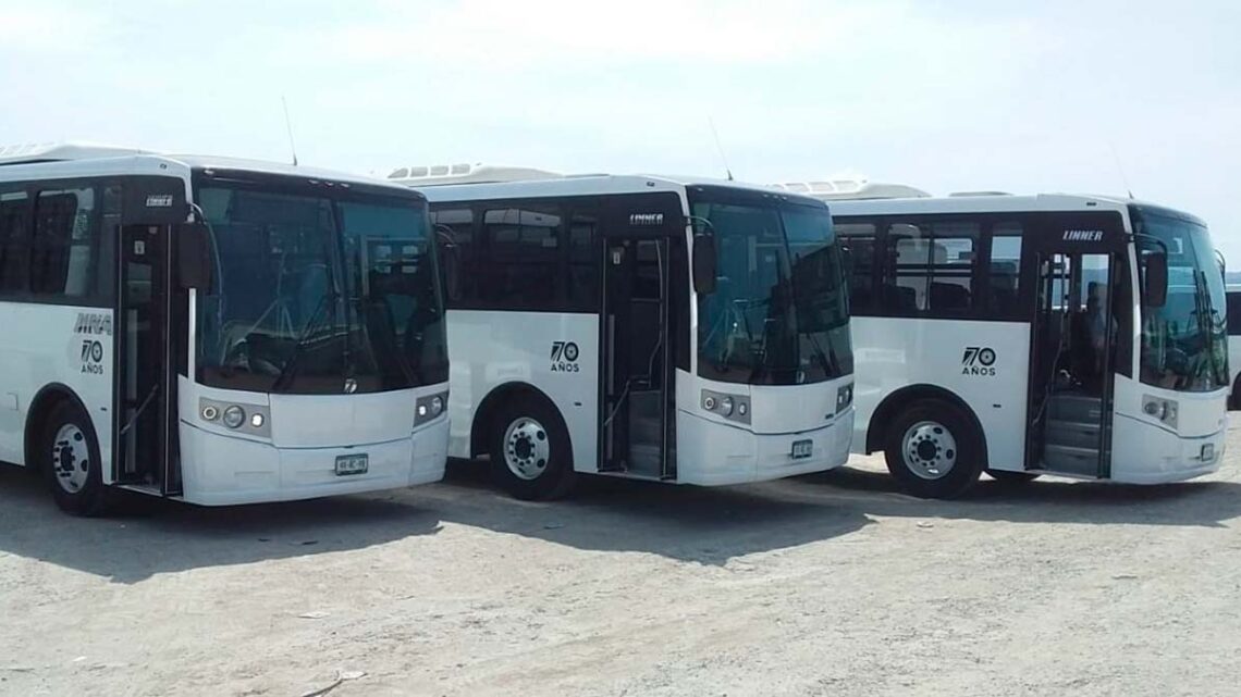 Adquiere AUTOBUSES SELVA MAYA 6 unidades DINA LINNNER