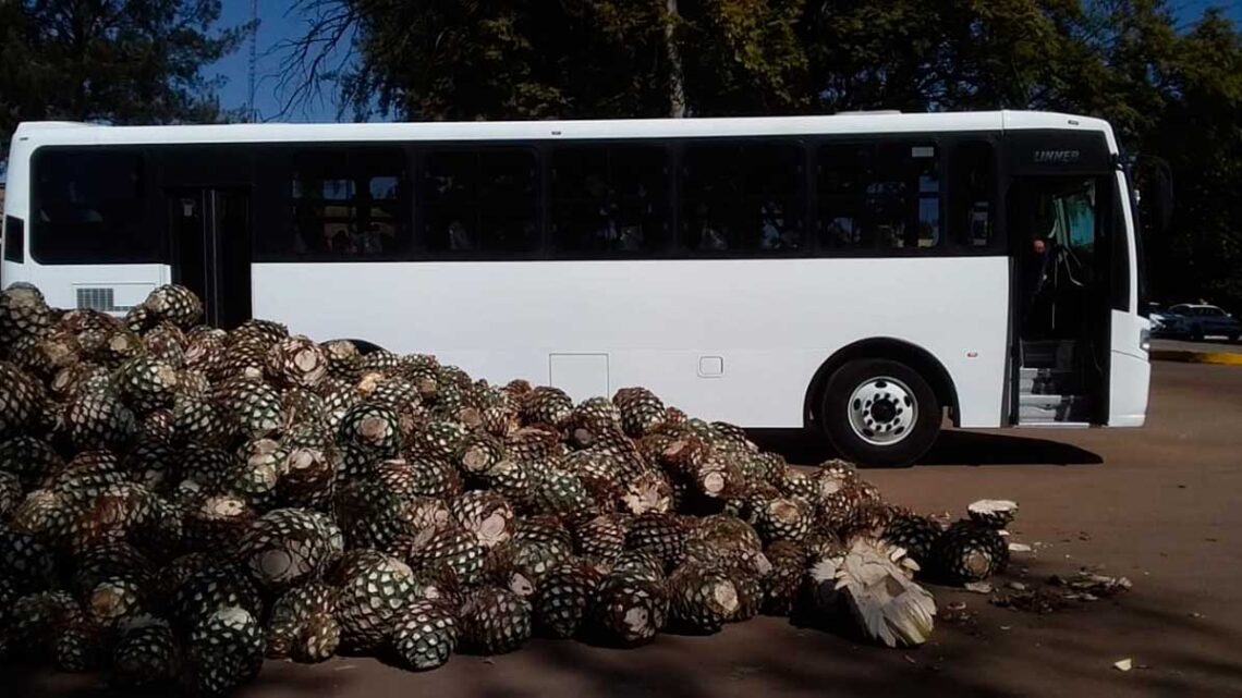 CASA CENTINELA adquiere 1 unidad DINA LINNNER para su transporte de personal