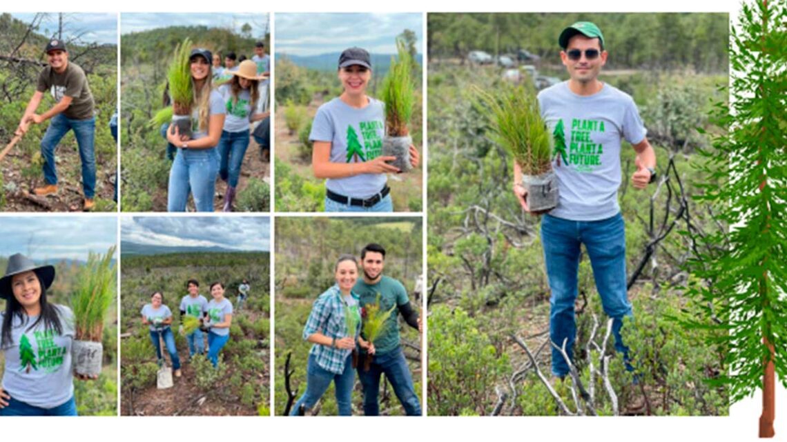 Ford Cuautitlán y Ford Chihuahua, reconocidos por proyectos de sustentabilidad y responsabilidad social