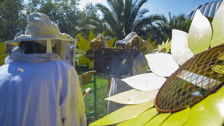 Ford Cuatitlán, lista para recibir hasta 70 mil abejas en su primer apiario