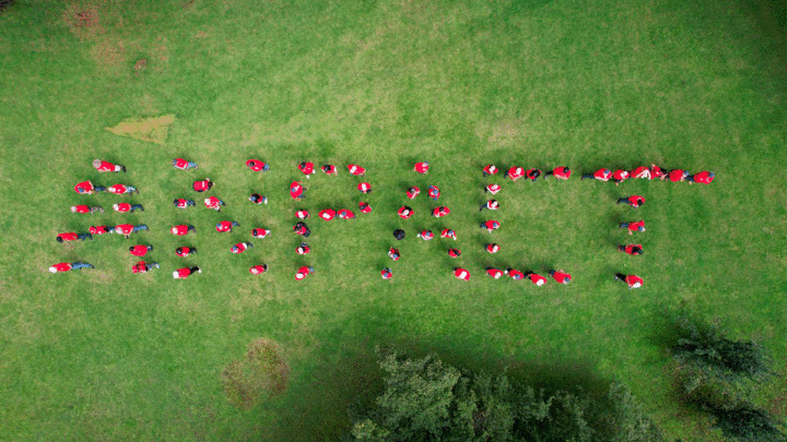 ANPACT y sus asociados realizan acciones de reforestación