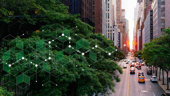 Sostenibilidad Rentable: Soluciones Prácticas para Reducir Costos