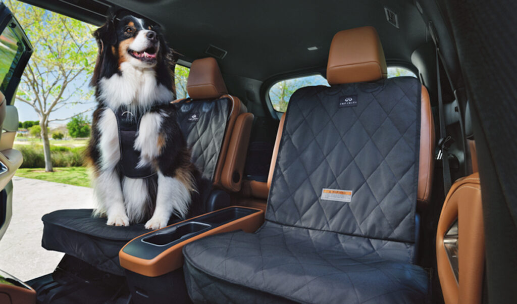 Día-del-Perro-Infiniti