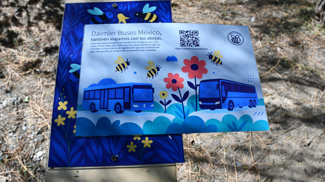 Suma Mercedes-Benz Autobuses 25,000 polinizadoras a la movilidad