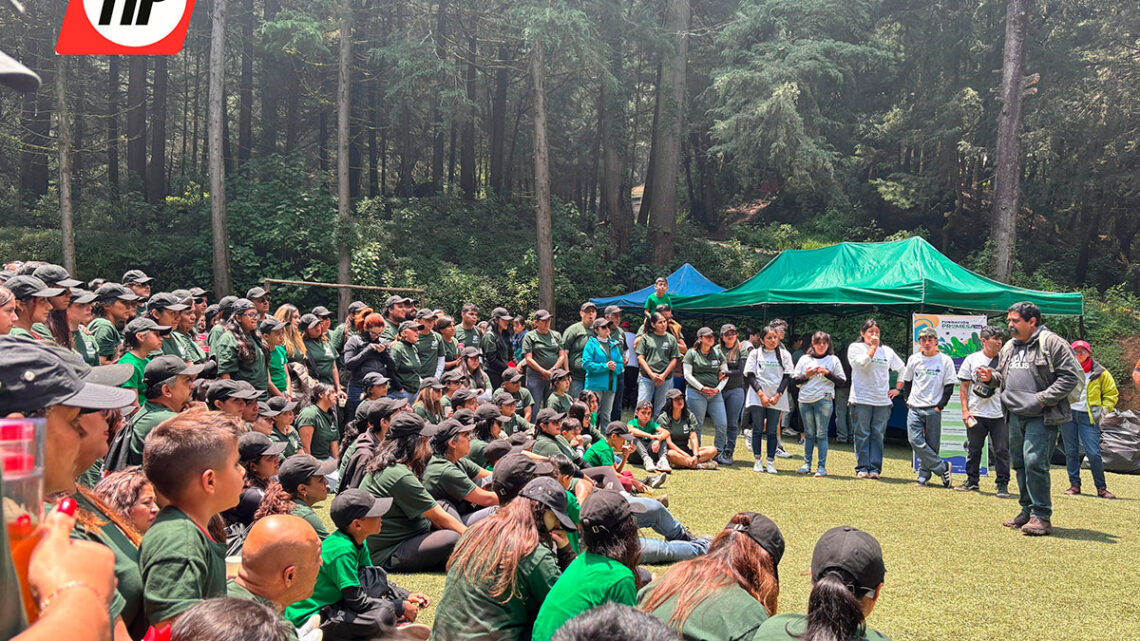 TIP México: sembrando futuro y compartiendo vida