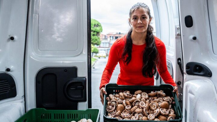 Geotab lanza nuevo hardware y software